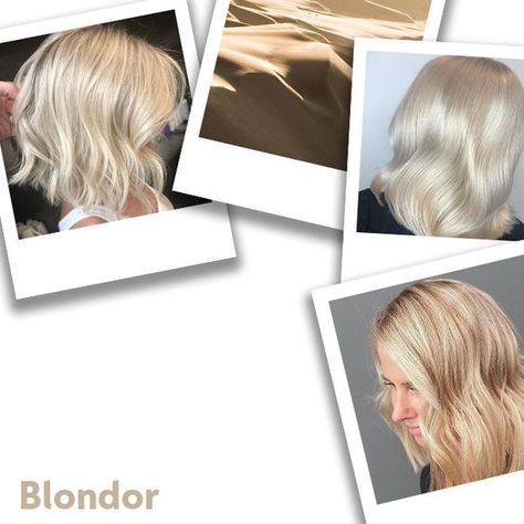 Blonde Hair Colour Formulas | Wella Blondor | Wella Professionals Wella Blonde Formula, Blonde Hair Color Formulas, Butter Blonde Hair, Blonde Hair Colour, Wella Toner, Blonde Toner, Colour Touch Wella, Color Formulas, Soft Blonde