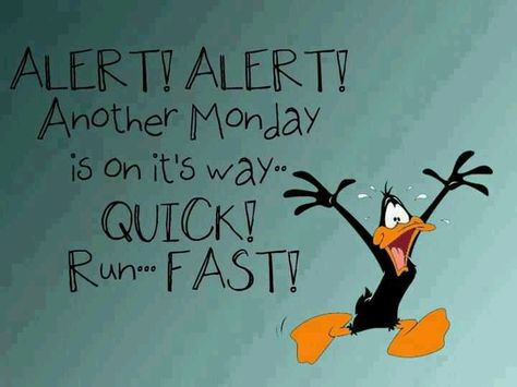 Monday message. Comment. Status. Daffy Duck. Looney Tunes Cartoons Daffy Duck Quotes, Duck Quotes, Happy Monday Quotes, Over It Quotes, I Hate Mondays, Hate Mondays, Monday Humor, Weekday Quotes, Weekend Quotes