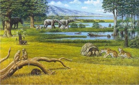 Cenozoic Era, History Of Earth, Three Million, Prehistoric Wildlife, Prehistoric World, Offshore Wind, Paleo Art, Green Technology, Carbon Dioxide