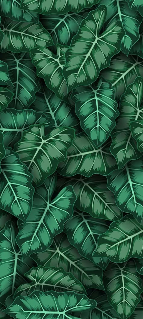 Greenery Exotic IPhone Wallpaper HD - IPhone Wallpapers : iPhone Wallpapers Green Wallpaper Hd, Spring Iphone Wallpaper Aesthetic, Acoustic Guitar Photography, Spring Iphone Wallpaper, Iphone Wallpapers Hd, Green Galaxy, Wallpapers Ipad, Amoled Wallpapers, Leaves Background