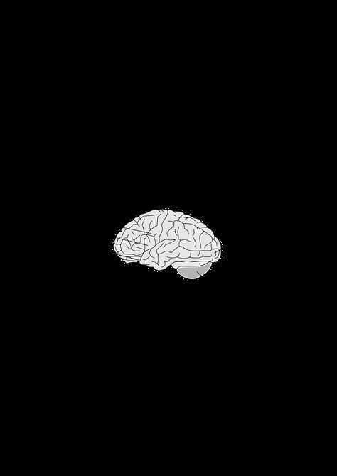 Human Brain by ozhank Psychology Wallpaper, Ios 11 Wallpaper, Brain Icon, Marvel Tony Stark, Art Psychology, Instagram Black Theme, Brain Logo, Brain Art, Astronomy Art