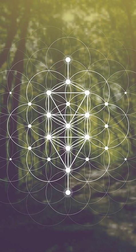 Patch Tarot Gallery Sacred Geometry In Nature, Tree Of Life Geometry, Spiritual Logo Design, Flower Of Life Art, Sacred Geometry Art Mandalas, Inner Peace Art, Healing Circle, Sacred Geometry Flower Of Life, Geometry Symbols