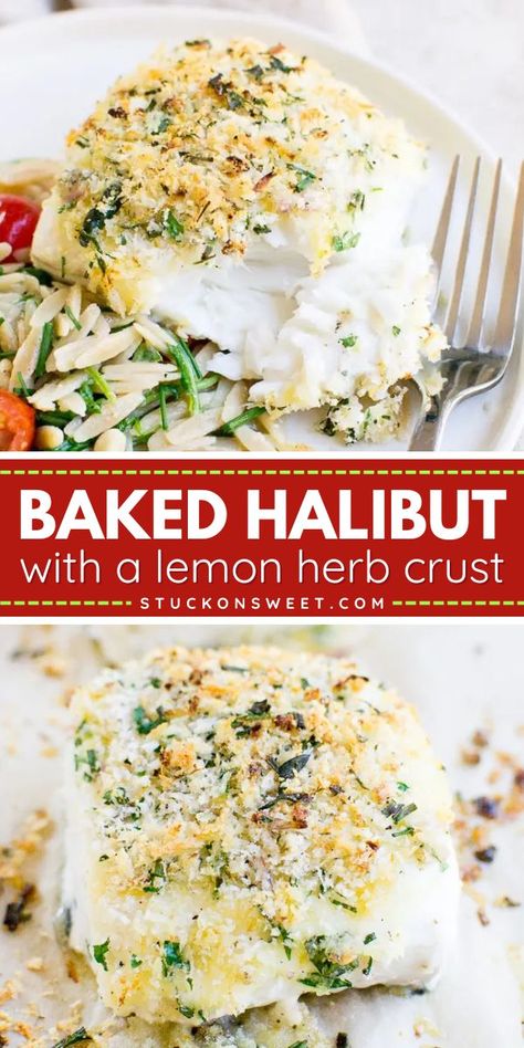 Go for a healthy dinner option with Baked Halibut with a Lemon Herb Crust! In less than 20 minutes, enjoy a restaurant style recipe made with halibut filets, mayonnaise, and panko bread crumbs. Enjoy this healthy eating idea tonight! Crusted Halibut Recipes Baked, Halibut Dinner Ideas Meals, Recipes With Halibut, How To Bake Halibut In The Oven, Baked Halibut Recipes Healthy, Easy Baked Halibut Recipes, Halibut Cream Sauce, Oven Halibut Recipes, Best Way To Cook Halibut