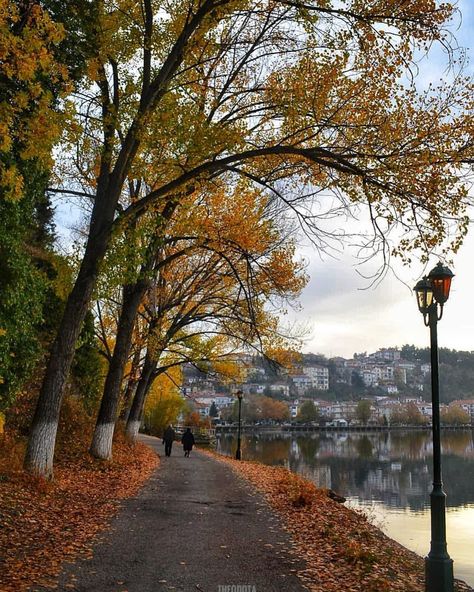 Kastoria Greece, Autumn Days, Greece Travel, Autumn Day, Greece, Country Roads, Road, Travel, Quick Saves