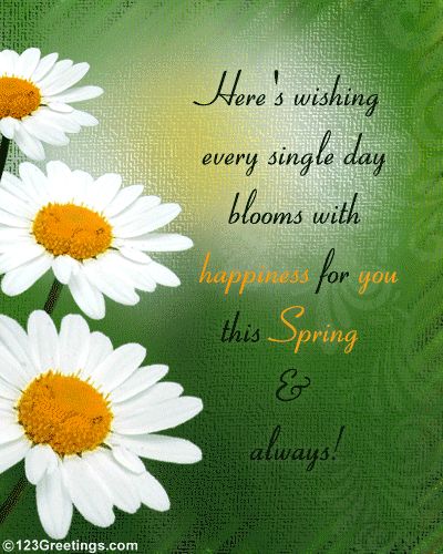 Here's Wishing Every Single Day Blooms With Happiness For You This Spring & Always spring spring quotes spring image quotes spring quote images spring greetings Spring Day Quotes, Short Valentine Quotes, Ready Quotes, Happy Spring Day, Best Birthday Wishes Quotes, Bloom Quotes, Spring Funny, May Quotes, Spring Quotes