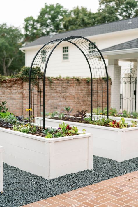 Greenhouse to Garden — Garden Girls Raised Garden Bed Landscaping, White Raised Garden Beds, Raised Garden Bed Trellis, Garden Box Ideas, Tall Raised Garden Beds, Raised Container Garden, Backyard Raised Garden, Raised Garden Bed Ideas, Cut Garden