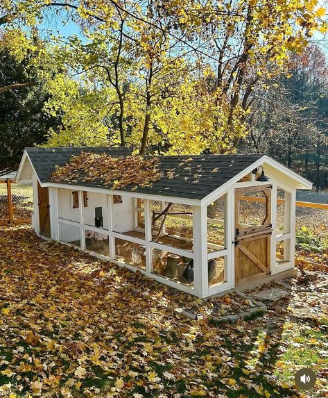 Kandang Hamster, Chicken Coop Building Plans, Coop Accessories, Cute Chicken Coops, Chicken Coop Garden, Chicken Coup, Backyard Chicken Coop Plans, Diy Chicken Coop Plans, Duck House