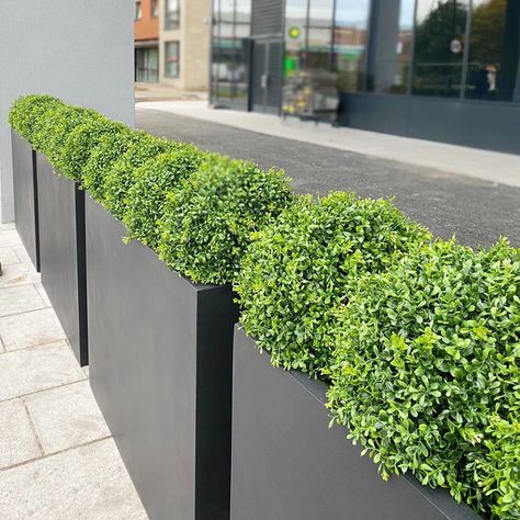 Commercial Planters Exterior Planter, Plant Troughs, Commercial Planters, Planter Project, Trough Planters, Outdoor Living Design, Gardens Design, Square Planters, Office Plants