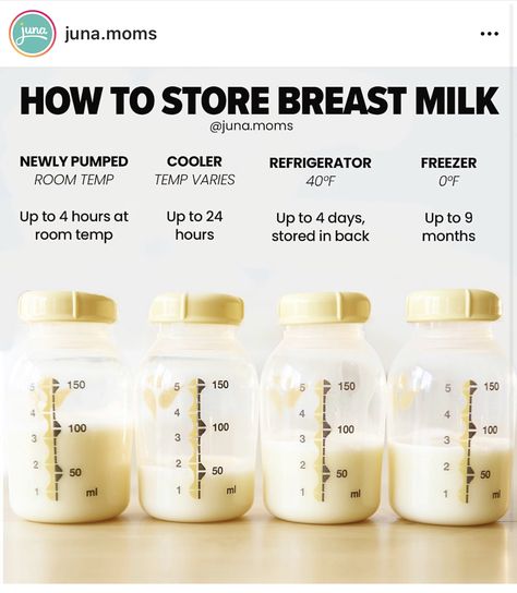 Boost Milk Supply Breastfeeding, Newborn Breastfeeding Tips, Breast Milk Storage Guidelines, Breast Milk Storage, Milk Storage Bags, Newborn Baby Tips, Newborn Mom, Easy Reference, Baby Life Hacks