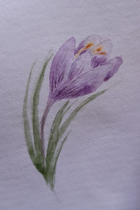 Crocus Painting, Aesthetic Watercolour, Watercolor Flower Tattoo, Prairie Crocus, Writing Illustration, Nature Writing, Calligraphy Letters, Watercolor Flower, Flower Tattoo