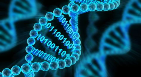 Genetic Algorithm, Dna Molecule, Personalized Medicine, Digital Data, Binary Code, Biotechnology, Data Storage, Data Science, Big Data