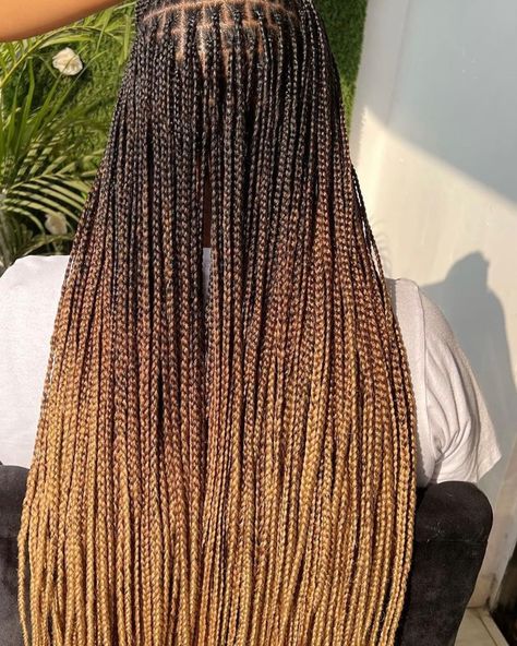 Ombré braids cames in so many colors and as the name implies they come already pre-colored with different ombre shades from the factory. . 24 inches N1800 for a bundle A pack weight 100grams 4 bundles for light/scanty braids 5 bundles recommended for full braids Create this trendy look with ease. To order Send a DM or 📞08132347372 . . ❌Note❌ The number of packs you need largely depends on your chosen style, preferred thickness/fulness, length and head size.The Colours can slightly differ du... Brown Ombre Braids Black Women, 350 Braids Color, Scanty Braids, Full Braids, Ombré Braids, Braids Colors, Ombre Braids, Ombre Braid, School Hair