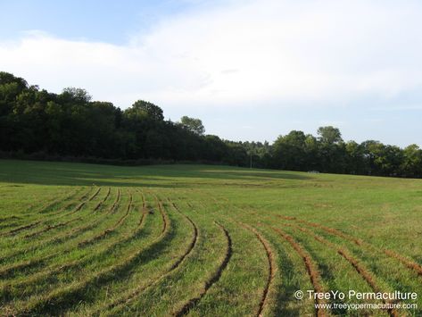 Farm Commune, Intentional Communities, Permaculture Design Course, Soil Conservation, Intentional Community, Carbon Sequestration, Compost Tea, Permaculture Design, Rainwater Harvesting