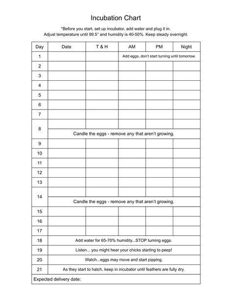 Chart for incubating chicken eggs Chick Incubation Chart, Unwashed Eggs Chart, Chicken Egg Incubation Chart, Chicken Egg Development Chart, Quail Incubation Chart, Chicken Incubation Chart, Selling Chicken Eggs, Egg Incubation Chart, Incubators For Chicken Eggs