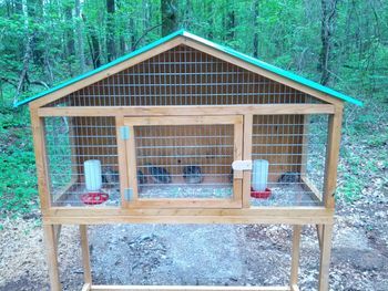 Show me you quail pens!!!                                                                                                                                                                                 More Quail Coop Diy, Diy Quail Cage, Diy Quail Coop, Quail Cage Plans, Quail Coop Ideas Diy, Quail Housing, Backyard Quail, Quail Pen, Quail House