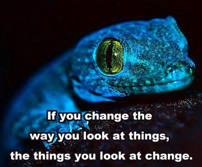 .#quotes Blue Lizard, Yellow Eyes, Gecko, In The Dark, Close Up, Yellow, Blue, Black