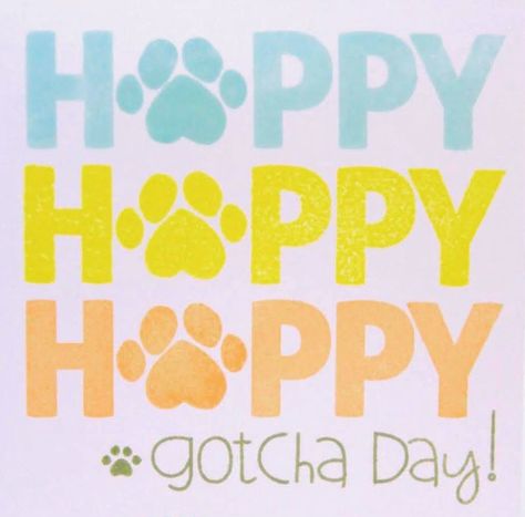 Gotcha Day Quotes Dog, Happy Gotcha Day Dog Quotes, Gotcha Day Quotes, Gotcha Day Dog, Cats Quotes, Chalkboard Fonts, 3 Dogs, Pampered Pets, Gotcha Day