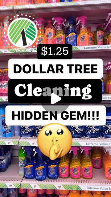 Sarah | Dollar Tree Finds & Life on a Budget on Instagram: "OMG! Dollar Tree has a new cleaning tool that keeps you off your knees🤫😵🤯 I promise you, once you see how well these $1.25 bathroom mop work, you’ll regret walking past them. They also can be used around the house and in your car!!   Tag a friend that could use this $1.25 cleaning find!! 💕 @dollartree   #dollartree #dollartreefinds #dollartreeorganization #dollartreecommunity #organizedonabudget #dollarstore #shopwithme #dillartreecleaning #cleaninghacks #cleaningtools #cleantok #shoppingaddict #dollartreefinds #whatsnewatdollartree #comeshopwithme #dollartreeshopwithme #housewifelife #frugalmom #frugalfinds #dollartreereels" Dollar Tree Cleaning Supplies List, Dollar Tree Car Cleaning Supplies, Dollar Tree Bathroom Cleaning Hacks, Dollar Tree Home Improvement, Dollar Tree Cleaning Products, House Cleaning Essentials, Best Dollar Tree Cleaning Supplies, Dollar Tree Diy Bathroom Organization, Dollar Store Cleaning Hacks