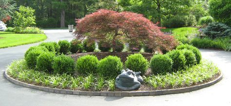 Circle Driveway Landscaping, Circular Garden, Circle Driveway, Boxwood Garden, Modern Courtyard, Landscape Gardening, Small Courtyard Gardens, Driveway Landscaping, Easy Landscaping