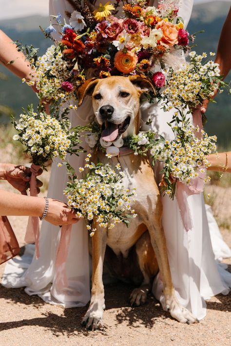 Endearing Summer Ski Resort Wedding in Colorado | Rocky Mountain Bride Ski Resort Wedding, Ski Wedding, Honeymoon Tips, Wedding Venue Colorado, Wedding Caterer, Colorado Weddings, Wedding In Colorado, Honeymoon Locations, Colorful Florals