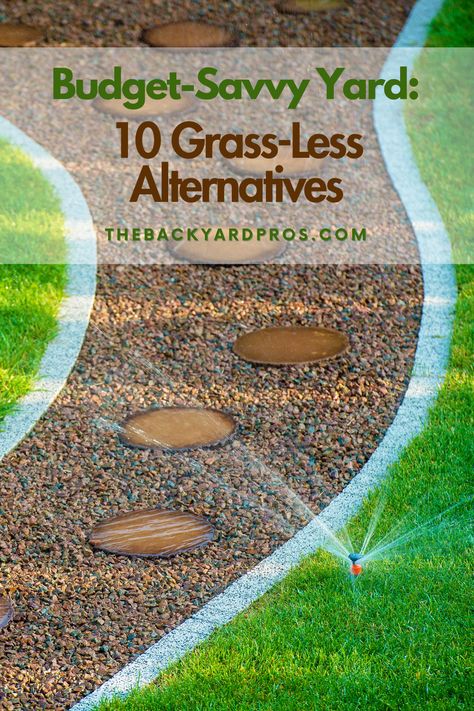 Lush lawns on a budget? Absolutely! Discover 10 affordable alternatives to grass that will keep your yard looking vibrant and inviting without draining your savings! Small Yard Landscaping Ideas No Grass Backyard Designs, Backyards Without Grass Landscaping, No Plant Landscape Ideas, Yard On A Budget, No Grass Small Backyard Ideas, Large Backyard Landscaping On A Budget, Low Budget Landscaping, Temporary Landscaping Ideas, Lawn Alternatives Backyard