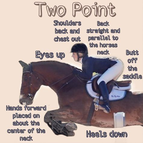 Horse Jumping Tips, Horse Riding Tips For Beginners, Horse Riding Tips English, Horse Bath, Equestrian Tips, Horse Jumping Exercises, Horses Funny, Jumping Exercises, Trail Riding Horses