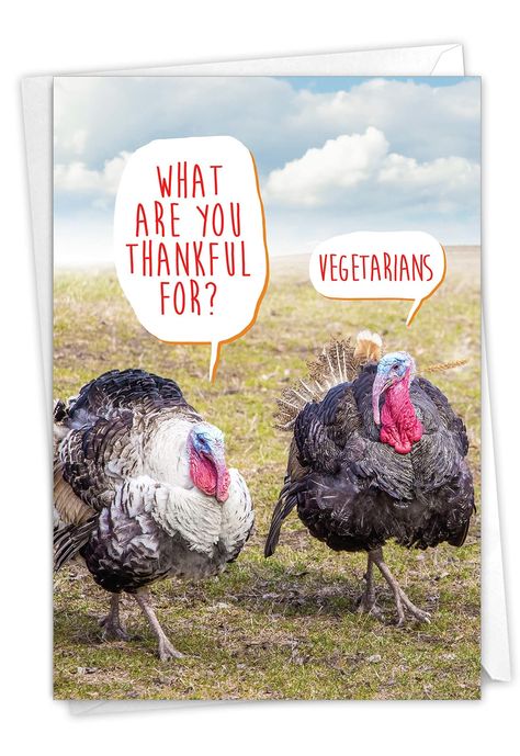 PRICES MAY VARY. INSIDE GREETING: "Pass the green beans and have a Happy Thanksgiving!" COVER - What are you thankful for? Vegetarians. CARD SIZE - Receive 1, regular sized notecard with 5x7 Inch envelope. We offer funny cards that come either blank or greeted inside, so be sure to review all product photos before purchasing. USE - The perfect, Humorous card for writing Thanksgiving wishes! Card's cover page is printed with a high gloss finish, and the interior pages provide a smooth, flawless w Happy Thanksgiving Humour, Happy Thanksgiving Meme, Funny Happy Thanksgiving Images, Thanksgiving Funnies, Funny Thanksgiving Pictures, Thanksgiving Meme, Happy Thanksgiving Funny, Thanksgiving Humor, Farmville 2