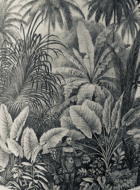 Jungle Drawing Sketches, Jungle Sketch, Drawing Jungle, Jungle Drawing, Jungle Tattoo, Jungle Mural, Forest Drawing, Mughal Art Paintings, Nature Collage