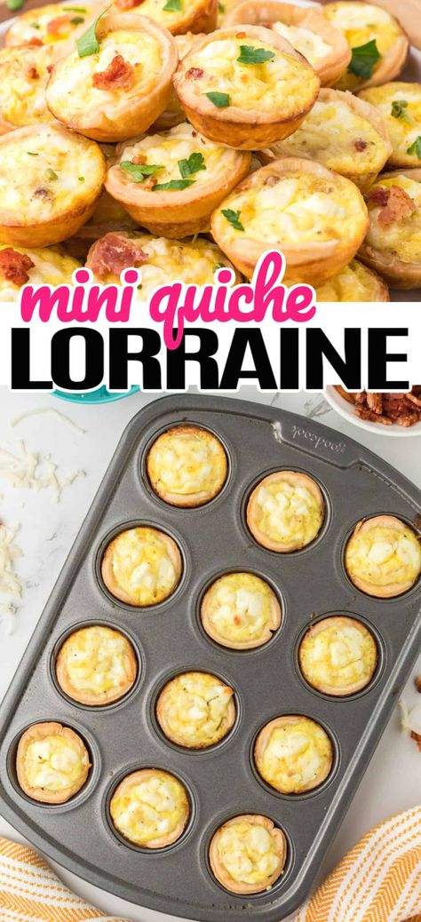 Bacon Egg Quiche, Eggs Quiche, Mini Quiche Lorraine, Mini Breakfast Quiche, Quiche Bites, Egg Quiche, Mini Quiche Recipes, Quiche Muffins, Quiche Lorraine Recipe