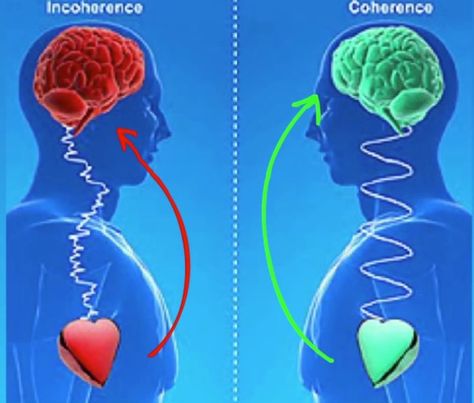 The Heart Math – Coherence Incoherence – Alternate Dimension Heart Brain, Heart Rhythms, Brain And Heart, Heart And Mind, Brain Health, Neuroscience, Holistic Health, Things To Know, Energy Healing