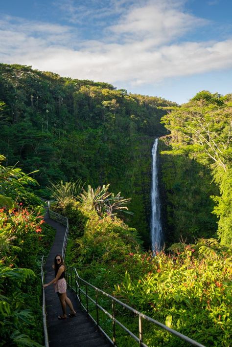 Big Island Aesthetic, Waimea Big Island, Big Island Hawaii Aesthetic, Big Island Hawaii Things To Do, Island Life Aesthetic, Homes In Hawaii, Hawaii 2023, Akaka Falls, Hawaii Waterfalls