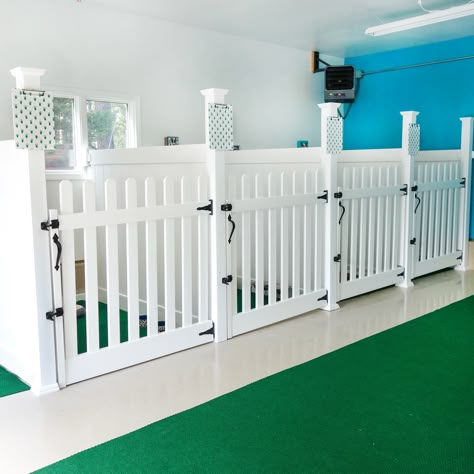 Dog Grooming Kennel Ideas, Dog Day Care Interior Design, Pet Hotel Ideas, Pets Room Ideas, Indoor Kennels For Dogs, Dog Hotel Design, Laundry Dog Room, Dog Hotel Rooms, Dog Daycare Ideas