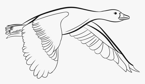 Flying Duck Drawing, Goose Outline, Flying Duck Silhouette, Goose Coloring Pages, Duck Clipart Black And White, Duck Flying, Goose Drawing, Fly Drawing, Duck Drawing