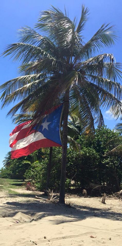 Very soon... ❤️ Puerto Rico Scenery, Puerto Rico Pictures, Puerto Rico Trip, Puerto Rico Vacation, Puerto Rico History, Puerto Rico Art, Puerto Rican Pride, Puerto Rican Culture, San Juan Puerto Rico