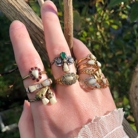 Rings Edwardian, Mega Closet, Tooth Jewellery, Tooth Jewelry, Milk Teeth, Tooth Ring, Sentimental Jewellery, Elf Clothes, Punk Aesthetic