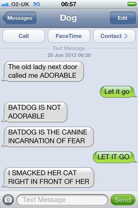 A tale of a man with his dog. If Dogs Could Text, Funny Dog Texts, Dog Texts, Funny Text Conversations, I Am Batman, Dc Memes, Funny Messages, Funny Text Messages, Laughter Is The Best Medicine