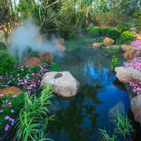 Learn with videos and pictures how to make an all-natural swimming pond that adds charm, fun and beauty to your backyard. Swimmable Pond, Diy Pond From Kiddie Pool, Natural Swimming Ponds With Fish, Natural Ponds Backyard Swimming Holes, Eco Pools Natural Swimming Ponds, Man Made Swimming Pond, Old Swimming Pool, Swim Pond, Dog Pond