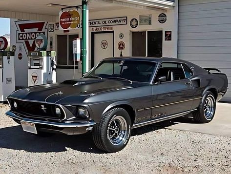 1969 Mustang Mach 1 1969 Shelby Mustang Gt500, 70s Mustang, 60s Mustang, Mach 1 Mustang, Ford Mustang Mach 1 1969, Mustang Mach 1 1969, Ford Mustang 1969, 1970 Ford Mustang Mach 1, 1969 Mustang Mach 1