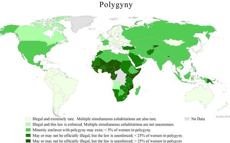 WomanStats Maps Lack Of Discipline, Ap Human Geography, Inclusive Education, Places To Be, Human Geography, To Be A Woman, Education Level, Marriage License, Marriage Certificate