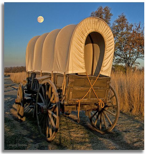 Walking Path, Horse Drawn Wagon, Frosty Morning, Old Wagons, Wooden Wagon, The Oregon Trail, Chuck Wagon, Wilde Westen, Covered Wagon