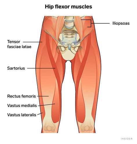 Hip Flexor Pain: Causes, Symptoms, Treatments, When to See a Doctor Hip Flexor Strain, Hip Flexor Pain, Strength And Conditioning Workouts, Tight Hamstrings, Hip Flexor Stretch, Tight Hip Flexors, Psoas Muscle, Hip Flexors, Sciatic Nerve Pain