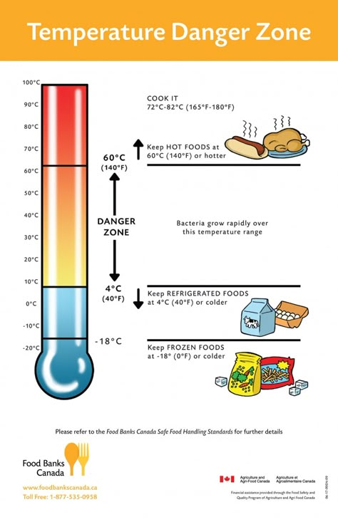 Ever had questions about food safety? Here are 8 things you need to know to make sure the food you prepare and eat is as safe as possible. Food Safety Posters, Food Safety And Sanitation, Food Safety Training, Food Safety Tips, Culinary Classes, Kitchen Safety, Food Handling, Family And Consumer Science, Food Tech