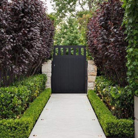 Gardenia Hedge, Backyard Gates, Backyard Garden Layout, Front Garden Landscape, Garden Entrance, Farmhouse Garden, Backyard Pool Designs, Garden Landscape Design, Tropical Landscaping