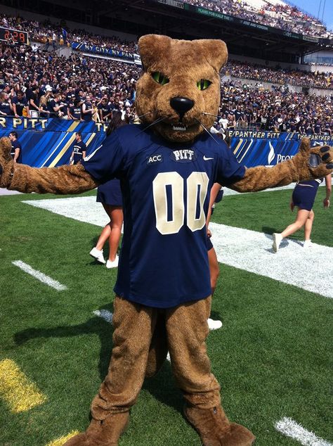 The Pitt Panther!!!! Pitt University Aesthetic, Pittsburgh University, Pitt University, Pitt Football, Unc Football, Career Aesthetic, The Pitt, Tiger Mascot, Last Of The Mohicans