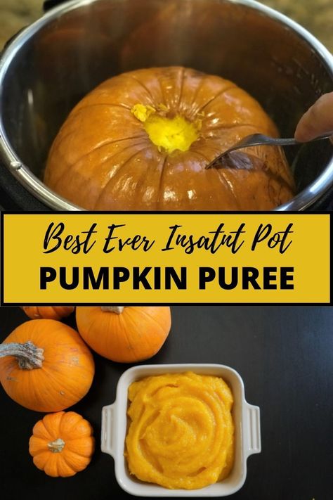 Pumpkin Puree Recipes Healthy, Making Pumpkin Puree, Make Pumpkin Puree, Puree Pumpkin, Puree Recipes, Pumpkin Puree Recipes, Frozen Pumpkin, Fresh Pumpkin, Homemade Pumpkin Puree