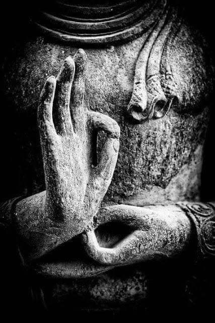 Hand Mudra, Buddha Hand, Buddha's Hand, Art Buddha, Buddha Artwork, Buddha Wall Art, Buddha Zen, Indian Sculpture, Gautama Buddha