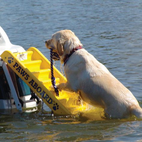 Paws Aboard Dog Boat Ladder-•Slip-resistant ribbed design that's safe for all pets Boat Ladder, Pet Ramp, Boat Ladders, Build Your Own Boat, Pet Stairs, Dog Ramp, Dog Steps, Water Safety, Boat Ideas