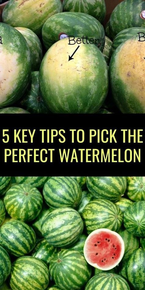 When To Pick Watermelon, Picking Watermelon, Short People Humor, Perfect Watermelon, Growing Vegetables In Pots, Romantic Nature, Get Rid Of Warts, Home Remedies For Acne, Short People