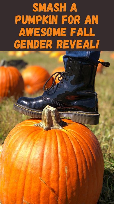 Gender Reveal Colors, Fall Gender Reveal Party, Unique Gender Reveal Ideas, Unique Gender Reveal, Pumpkin Gender Reveal, Pumpkin Smash, Halloween Gender Reveal, Gender Reveal Unique, Boy Gender Reveal