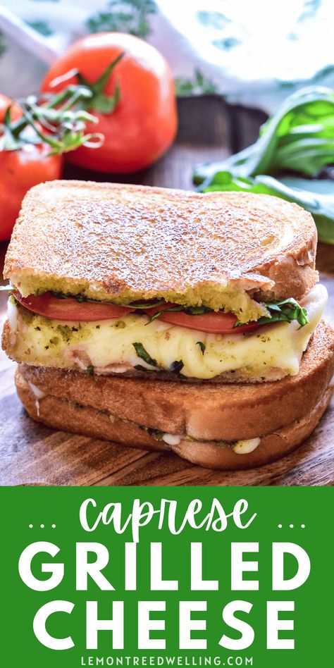 Tomato Basil Sandwich, Caprese Grilled Cheese, Jalapeno Popper Grilled Cheese, Caprese Recipes, Sliced Tomatoes, Bacon Grilled Cheese, Savory Bites, Macaroni N Cheese Recipe, Tomato Pesto